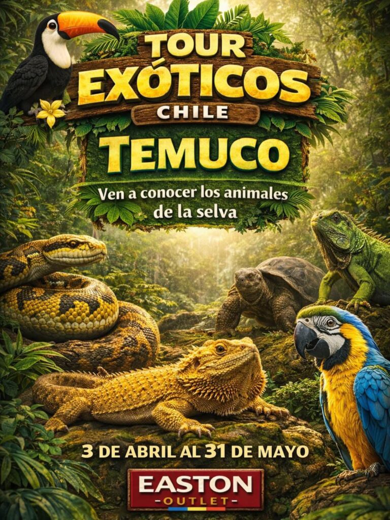 EXOTICOS CHILE LLEGA NUEVAMENTE A TEMUCO 🐍